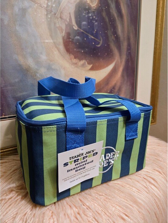 Trader Joe\'s 6 set of Mini Insulated Lunch Bag Striped Multicolor Zipper NWT main image 3